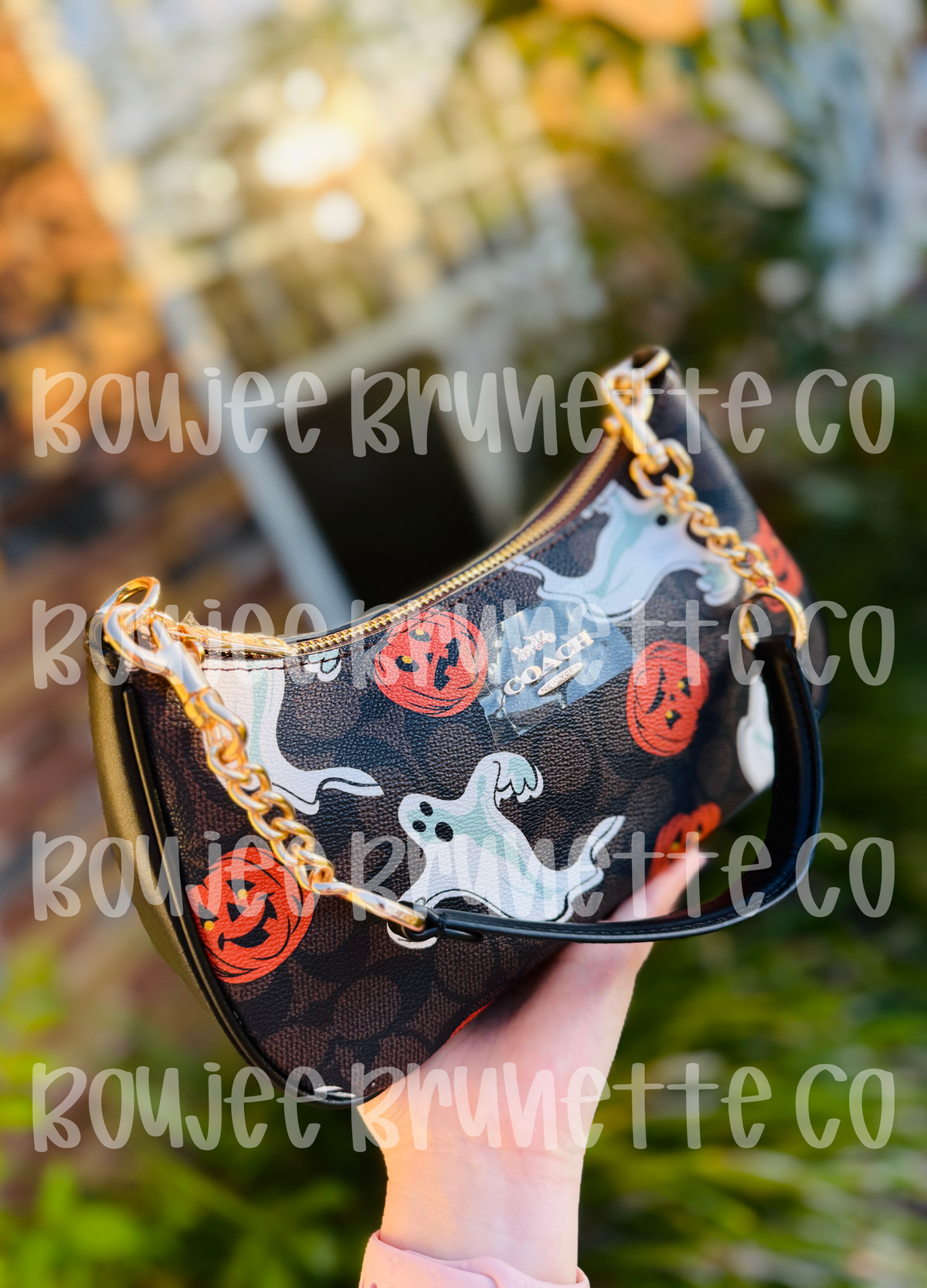 Halloween C Teri RTS